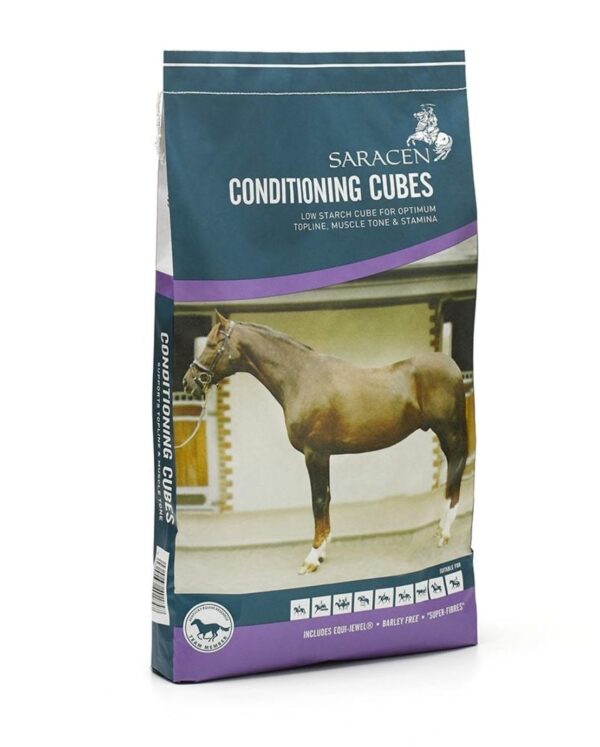 Saracen Conditioning Cubes 20KG | Torne Valley