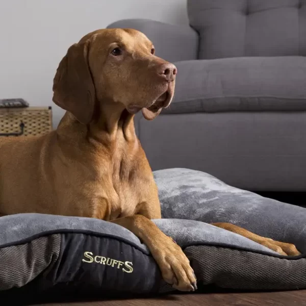 Charcoal Grey Dogs Mattress