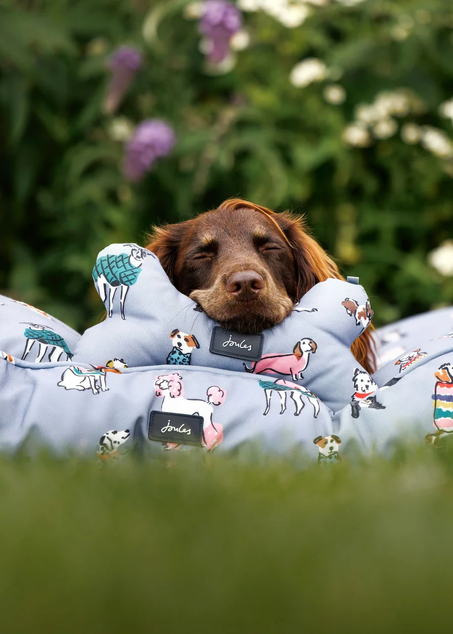 The New Joules Pet Range has now launched Torne Valley