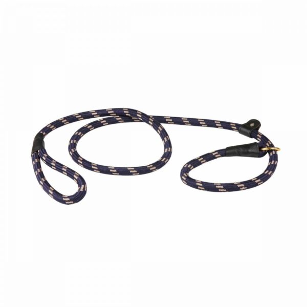 WEATHERBEETA ROPE LEATHER SLIP DOG LEAD | Torne Valley