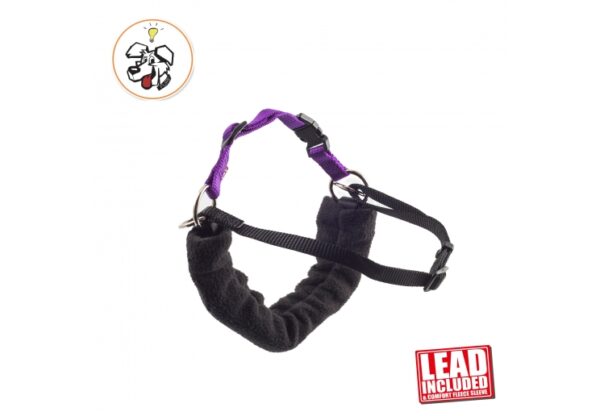 PDL HARNESS AND LEAD S 44-54CM | Torne Valley